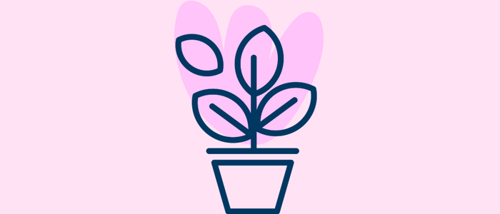 Kukkasidontaa Joensuussa