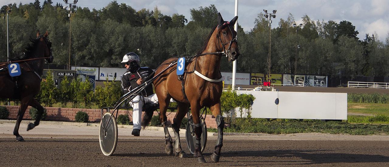 Tule viihtymään Erton Varsinais-Suomen aluetiimin seurassa Turun Hippoksen Metsämäen raviradan jännittävään ja unohtumattomaan esittelyiltaan.