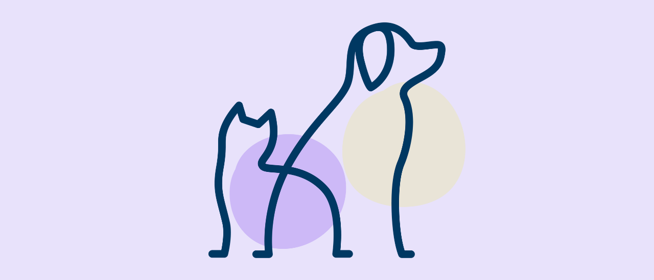 Jäseninfo: Jäseninfo: Eläintenhoitoalan palkka- ja työehtokyselyn 2025 tulokset